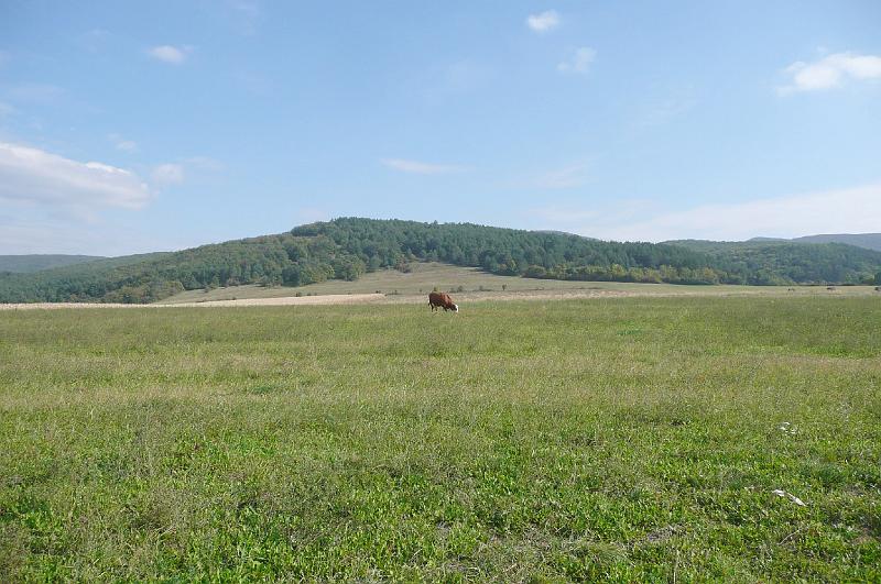 20121013 089.jpg